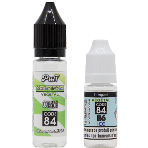 Base PUFF Menthe Fraîche 10ML + BOOSTER B6 ICE